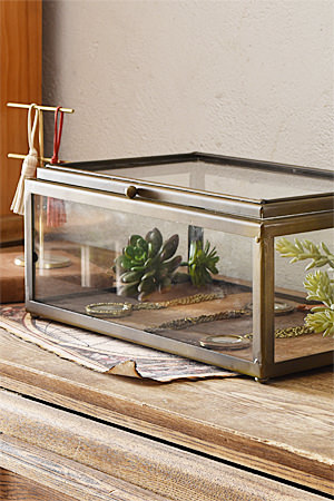 Glass Display Box