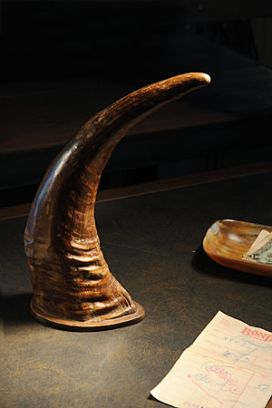 Buffalo Horn 
