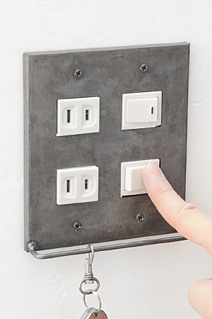 Iron Double×2 Switch Plate Hook