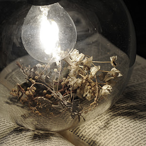 Science Lamp Ball